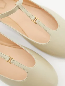 Ballerina 'Marcie' Spearmint