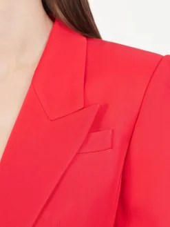 Blazer Rot