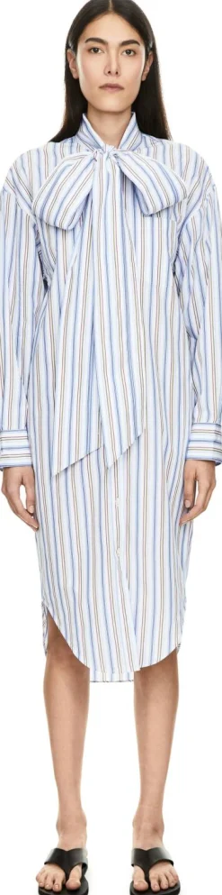 Gestreiftes Blusenkleid mit Schluppe Blau