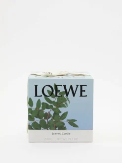 Große Duftkerze 'Incense' 2120 g