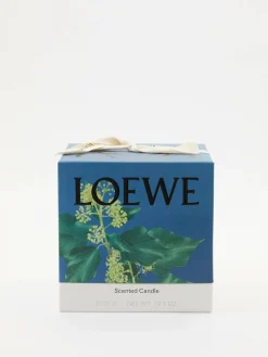 Große Duftkerze 'Ivy' 2120 g