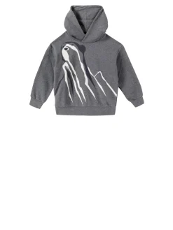 Kapuzenpullover Grau
