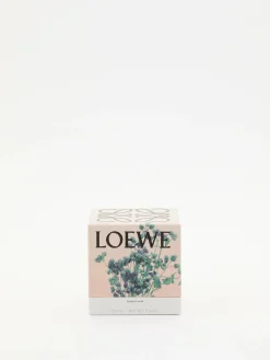 Kleine Duftkerze 'Oregano' 170 g