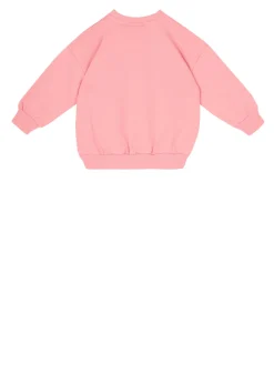 Sweatshirt in Pink