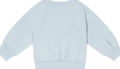 Sweatshirt 'Swan Graphic' Hellblau